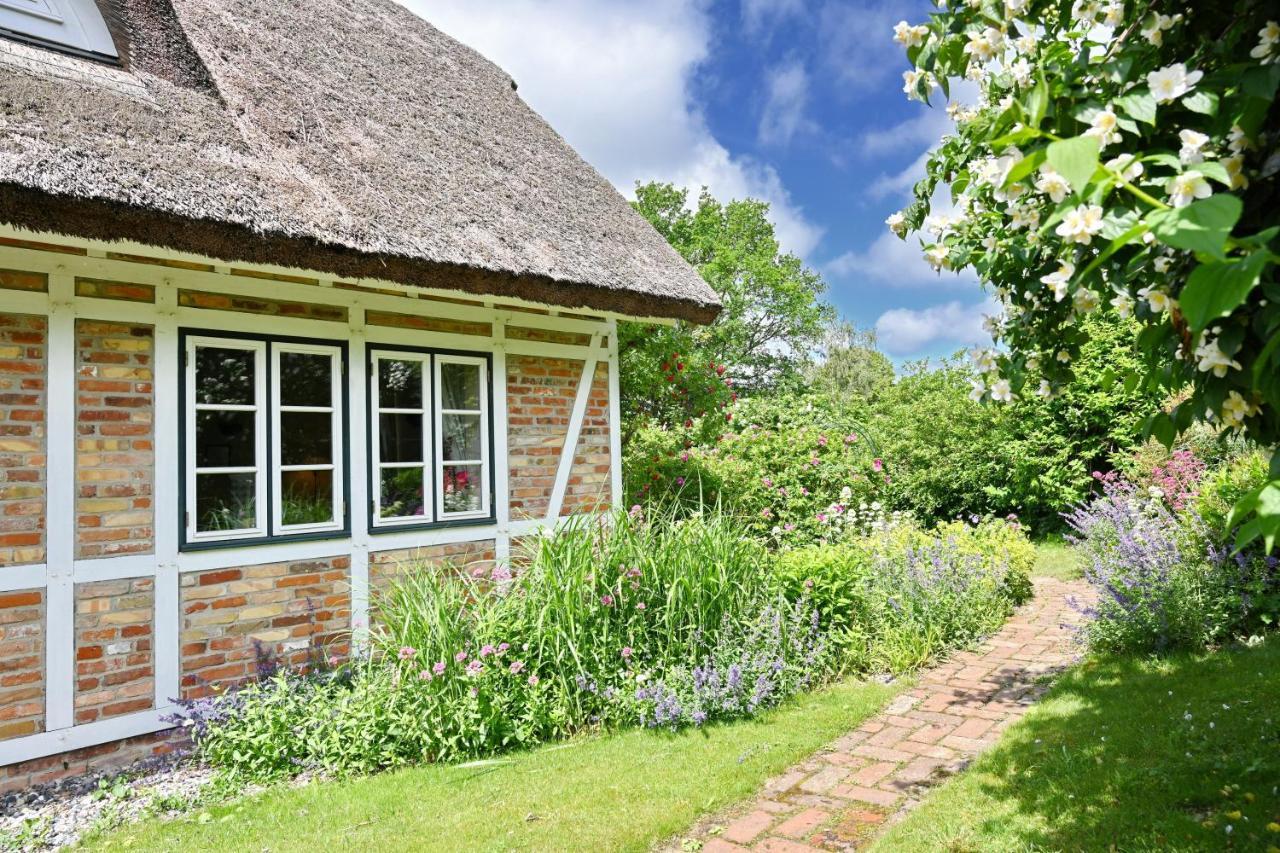 Landhaus Vilmnitz - Wohnung 7 Zewnętrze zdjęcie