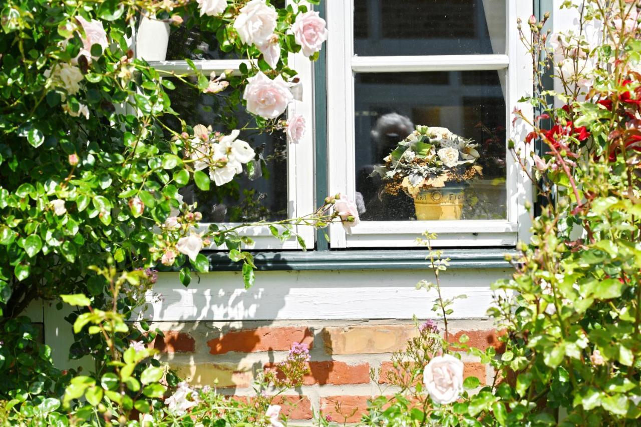 Landhaus Vilmnitz - Wohnung 7 Zewnętrze zdjęcie